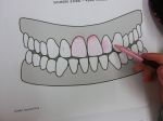 Cimg6289