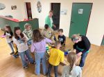 Img 8967
