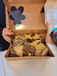 Kekse Backen19