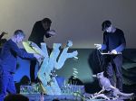 Img 9138