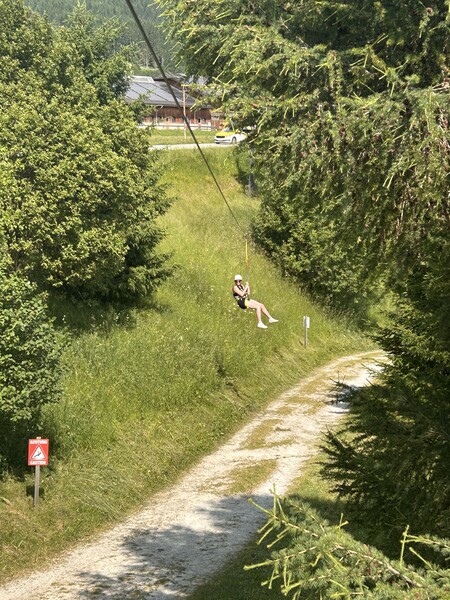 Img 4539