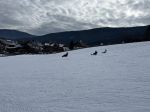 Img 9617
