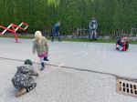 Img 8781