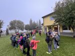 Img 2948