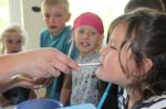Img 3952