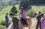 Img 3595