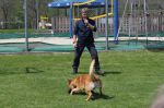 Img 3686