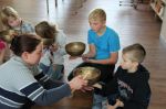 Img 7308