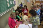Img 7358