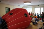 Img 7428