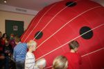 Img 7430