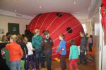 Img 7431