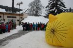 Img 7474
