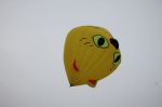 Img 7509