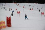 Img 7573
