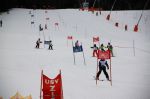 Img 7574