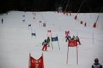Img 7575