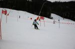 Img 7586