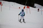 Img 7589
