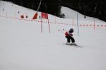 Img 7590