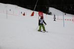 Img 7593