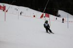 Img 7598