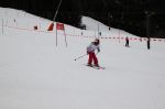 Img 7607