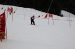 Img 7609