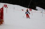 Img 7613