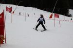 Img 7626