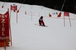 Img 7632