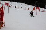 Img 7636