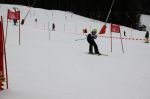 Img 7637