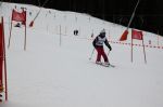 Img 7640