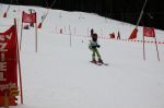 Img 7646