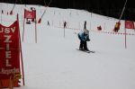 Img 7649