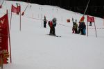 Img 7665