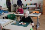 Img 7685