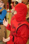 Img 7978