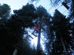 Img 0976