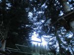 Img 0982