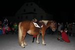 IMG 6031