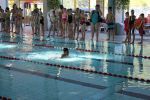 IMG 6959