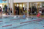 IMG 6986