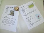 Rezeptheft2