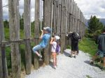 IMG 5308