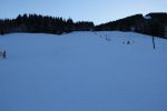 IMG 8223