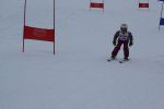 IMG 9675