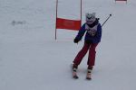 IMG 9684